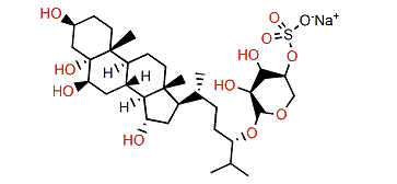 Leptaochotensoside C
